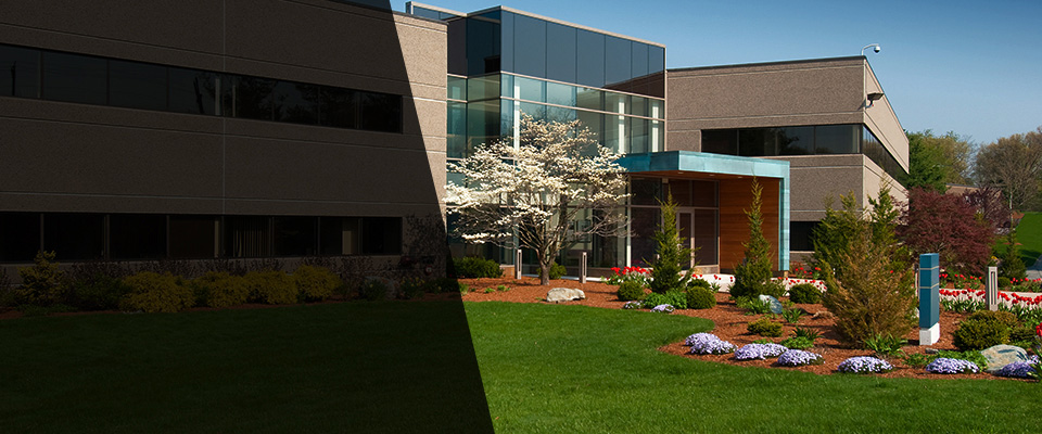 Rancho Santa Margarita Landscapers