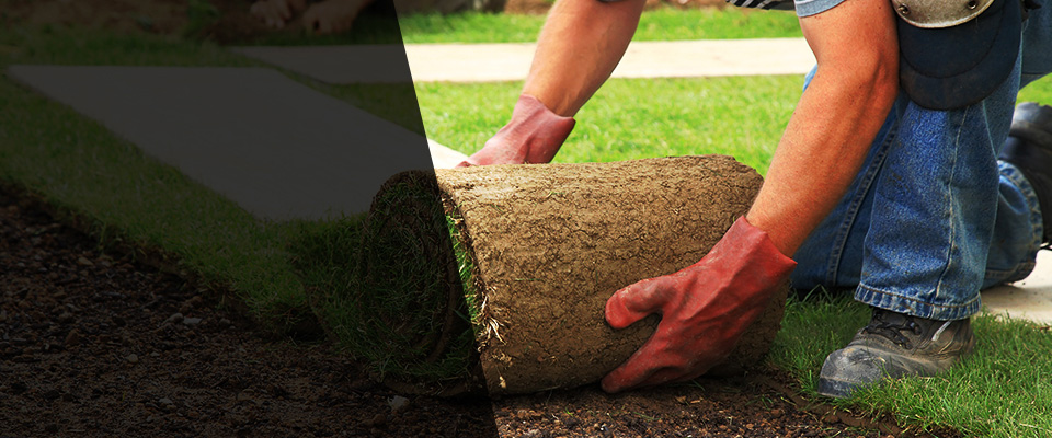 Rancho Santa Margarita Landscapers